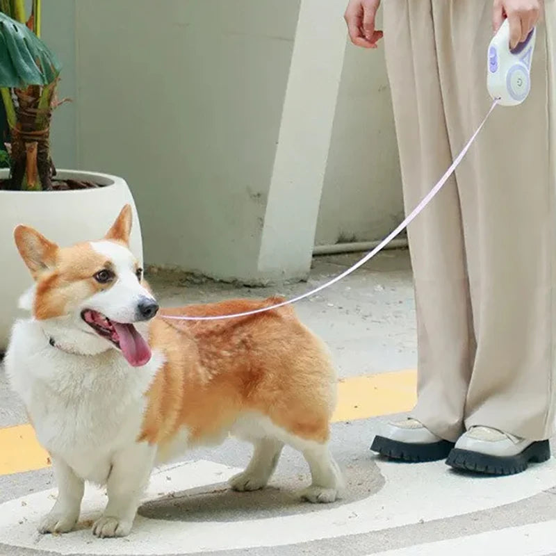 GlowSafe™ Retractable Dog Leash TM